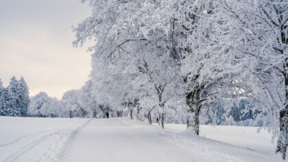 Prognoza pogody w Koszalinie. Spadnie śnieg?