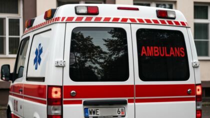 Zwiększona aktywność dzikiej zwierzyny! Jak bezpiecznie poruszać się w terenie leśnym?