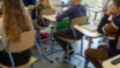 Bobolice: lekcje online o relacjach i sieci