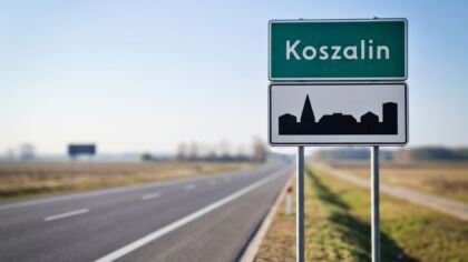 Bobolice: zaginęły dwa młode psy