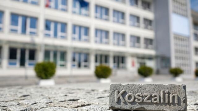 Dwa młode psy zaginęły pod Bobolicami