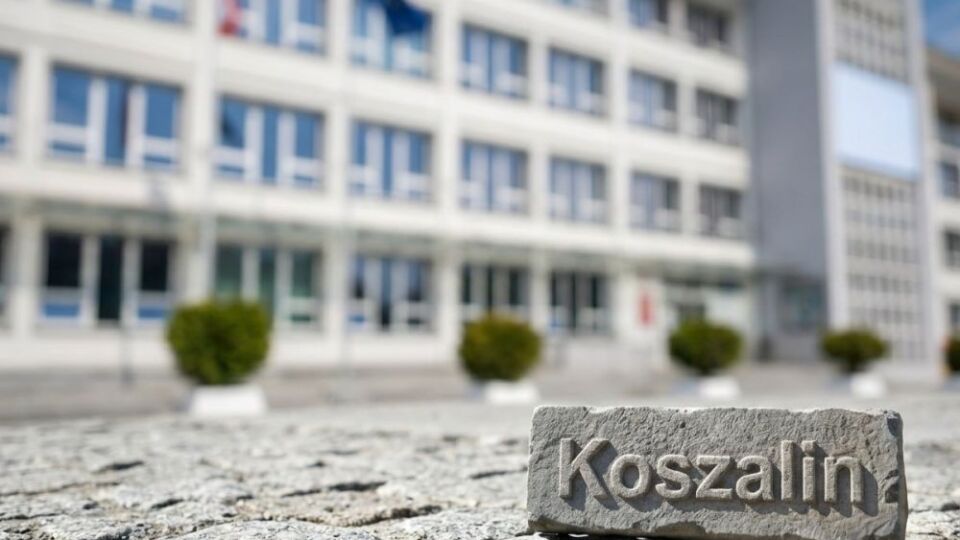 Dwa młode psy zaginęły pod Bobolicami