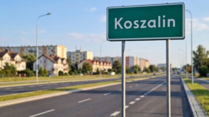 Sianów: sygnały o wilkach. Gdzie zgłaszać